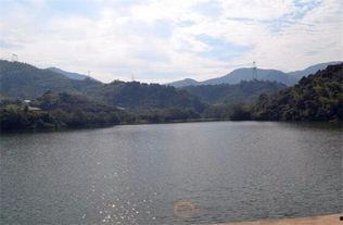 长春水库爆料视频最新,揭秘惊人真相！